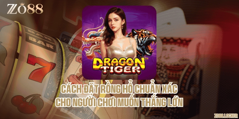 Cách đặt Rồng Hổ chuẩn xác cho người chơi muốn thắng lớn