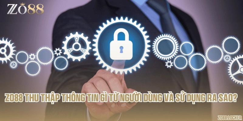 Zo88 thu thập thông tin gì từ người dùng và sử dụng ra sao?